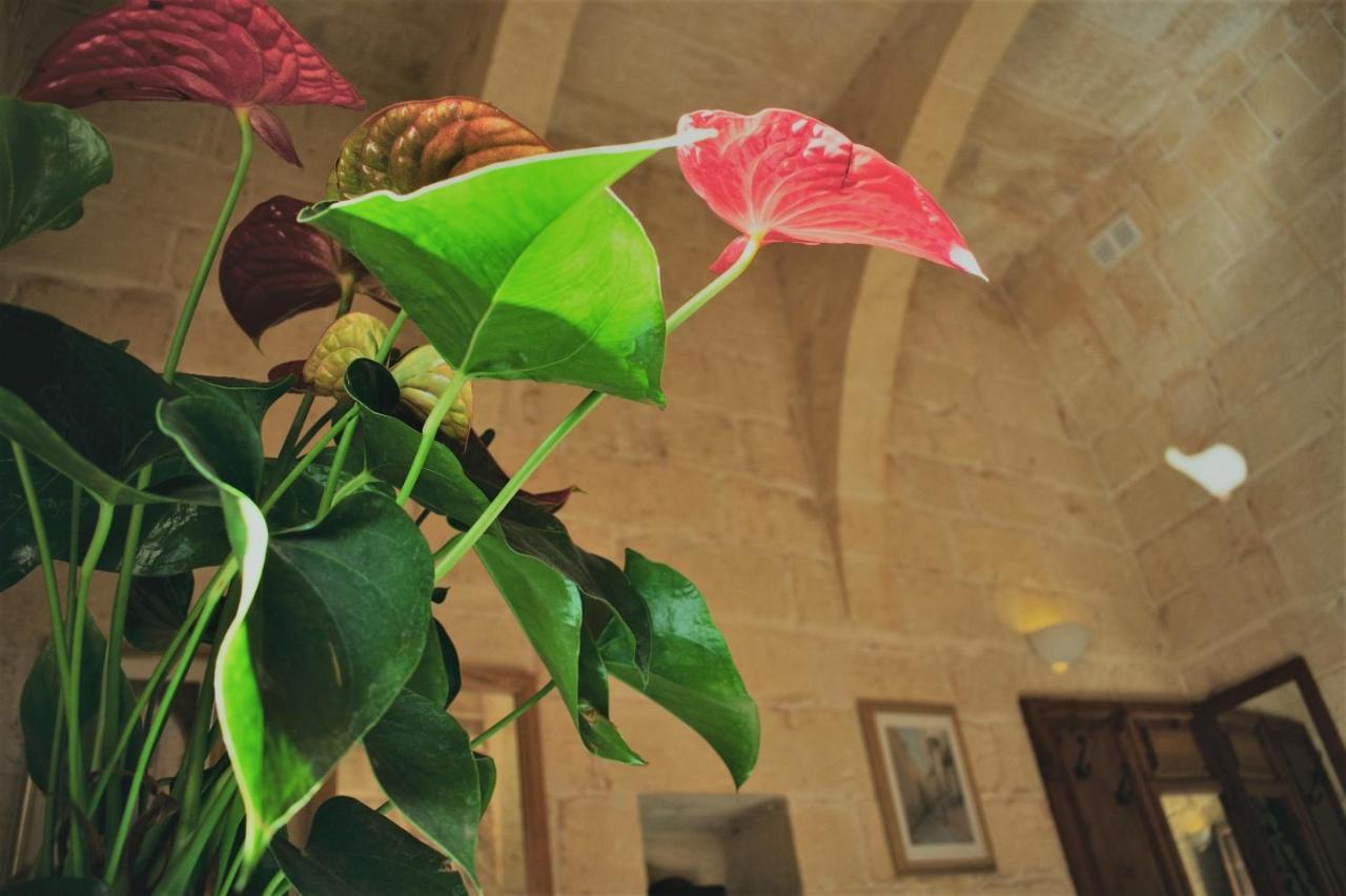 Encanto Vegetarian Bed & Breakfast Bed and Breakfast Xagħra Exterior foto
